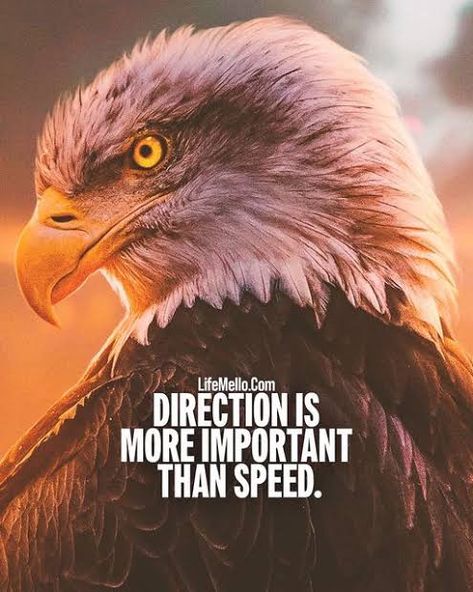 Eagle Attitude, Eagle Quotes, Eagles Quotes, Chess Quotes, Good Night Qoutes, Inspirational Smile Quotes, Bible Topics, Exam Motivation, Strong Mind Quotes