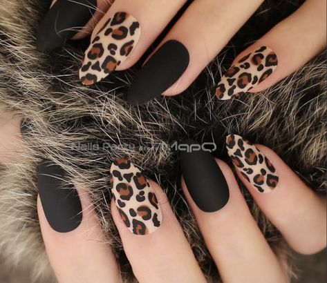 Matt Nails, Leopard Print Nails, Print Nails, Leopard Nails, Fall Acrylic Nails, Nail Swag, Neon Nails, Salon Design, Coffin Nails Designs