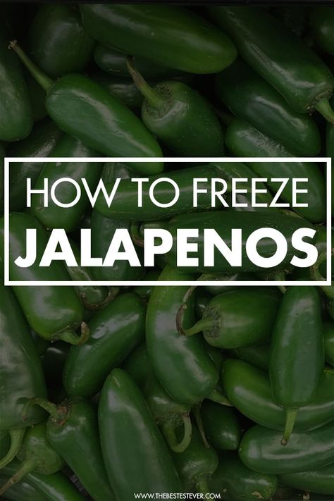 Freezing Jalapeno Peppers Whole, What To Do With Garden Jalapenos, What Can You Make With Jalapenos, How To Dry Jalapeno Peppers, How To Save Jalapeno Peppers, What To Do With Excess Jalapenos, How To Preserve Fresh Jalapenos, How To Freeze Jalapeno Poppers, How To Preserve Jalapeños