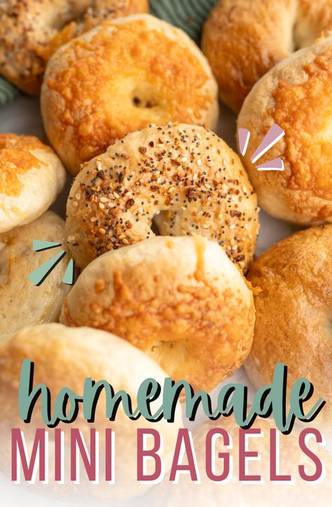 Asiago Bagel Recipe, Mini Bagels Recipe, Donut Pan Recipe, Breakfast Bagel Recipe, Bagels Homemade, Homemade Bagel Recipe, Bagels Easy, Bagels Breakfast, Bagel Recipes