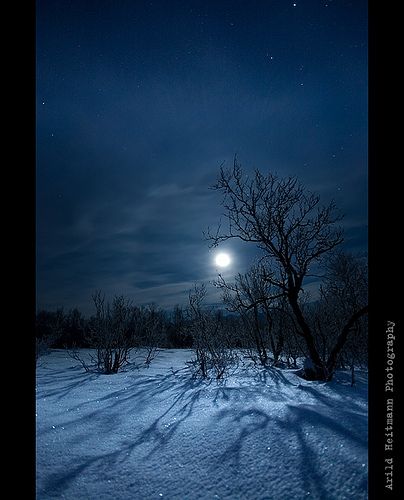 In the Moonlight... | Flickr - Photo Sharing! Winter Moon, Shoot The Moon, Moon Shadow, Winter Szenen, Image Nature, Moon Pictures, Winter Scenery, The Full Moon, Beautiful Moon