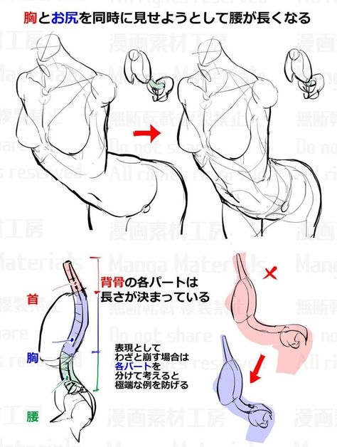 Female Anatomy Reference, Anatomy Tutorial, Human Anatomy Drawing, Body Drawing Tutorial, Human Anatomy Art, Anatomy Sketches, Anatomy For Artists, Body Reference Drawing, 캐릭터 드로잉