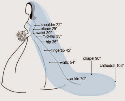 Inside Allie's World: The Ultimate Guide to Plus Size Wedding Dress Shopping Veil Length, Cathedral Wedding Veils, Cathedral Wedding, A Wedding Dress, Plus Size Wedding, Wedding Veils, Wedding Veil, Bridal Veil, Wedding Planners