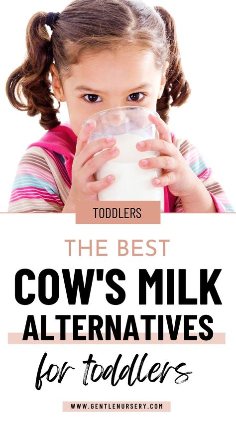 Looking for an alternative to cow's milk? There are many reasons you might want to avoid giving your child cow's milk, including allergies or sensitivities, a dislike of cow's milk, or even preferring a plant-based drink. This article covers many healthy alternatives to cow's milk, including goat milk, cashew milk, almond milk, camel milk, oat milk, hemp, and more. Milk for baby, Milk for babies, cows milk allergy baby, cows milk alternatives for baby, cows milk alternatives for toddler Milk Allergy Baby, Best Milk Alternative, Cows Milk Allergy, Goat Milk Formula, Dairy Snacks, Cows Milk, Cow's Milk, Hemp Milk, Milk Allergy