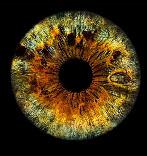 Iris Eye, Eyeball Art, Eye Close Up, Eyes Artwork, Photos Of Eyes, Nothing But Flowers, Angel Painting, Eye Photography, Aesthetic Eyes