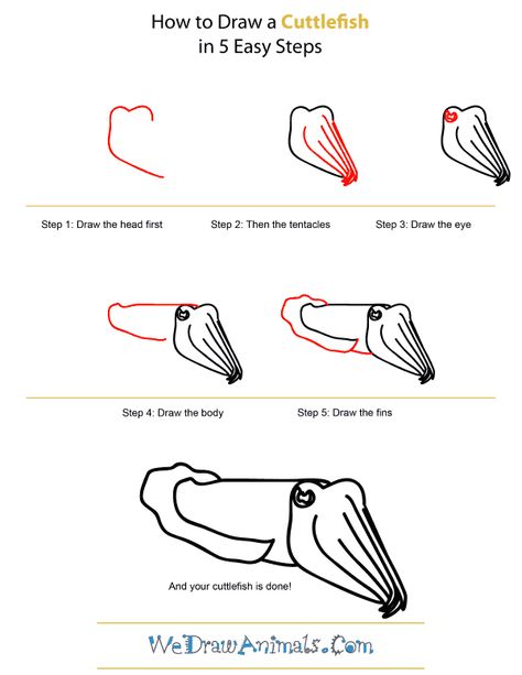 How To Draw A Cuttlefish - Step-by-Step Tutorial Cuttlefish Painting, Cuttlefish Drawing, Cuttlefish Art, Doodling Ideas, Form Drawing, Start Drawing, Three Hearts, Painting Competition, Painting Canvases