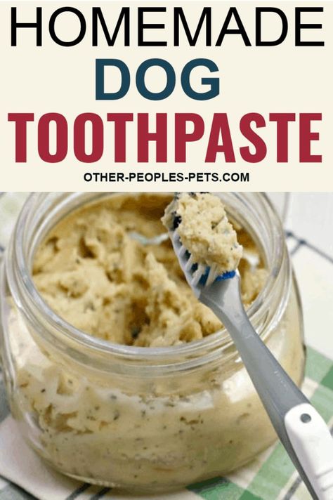 Brain Games 4 Dogs by Vi Dog Toothpaste Recipe, Diy Dog Toothpaste, Homemade Dog Toothpaste, Toothpaste Recipe, Pet Treats Recipes, Dog Toothpaste, Dog Biscuit Recipes, Dog Remedies, Easy Dog Treats