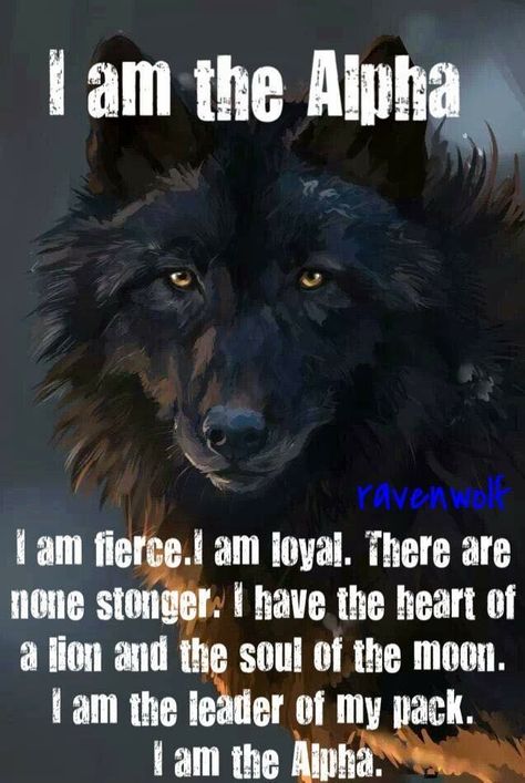 I am the Alpha of my house. Quotes Warrior, Wolf Pack Quotes, I Am The Alpha, Lone Wolf Quotes, Alpha Wolf, Wolf Quotes, Wolf Spirit Animal, Wolf Pictures, Wolf Spirit