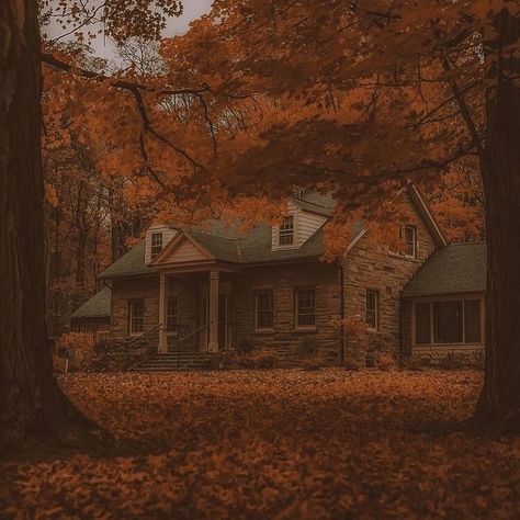 fall icon Fall Mood Board, Dark Autumn, Over The Garden Wall, Season Of The Witch, Autumn Scenery, Fall Feels, Fall Pictures, Best Seasons, Autumn Cozy