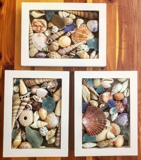 Seashell Shadow Boxes, Seashell Garland, Shadow Box Ideas, Seashell Collection, Seashell Display, Shell Display, Seashell Decor, Beach Craft, Seashell Wall Art