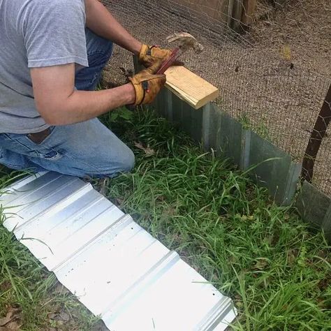 Chicken Coop Security, Chicken Run Hiding Places, Securing Bottom Of Chicken Coop, Chicken Coop Safe From Predators, Chicken Coop Predator Proof, Pheasant Pen, Chicken Runs Ideas Pens, Quail Enclosure, Predator Proof Chicken Coop