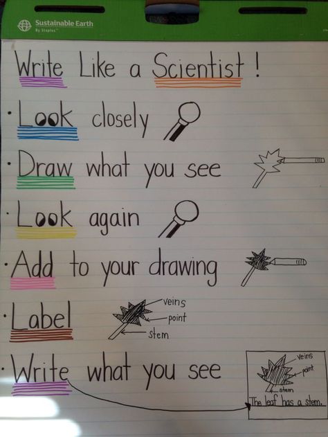 Kindergarten: Looking Closely: Observing, Labeling, and Listing Like Scientists Science Journal Ideas, Science Inquiry, Kindergarten Anchor Charts, Science Anchor Charts, Science Writing, 1st Grade Science, First Grade Science, Primary Science, Science Notes