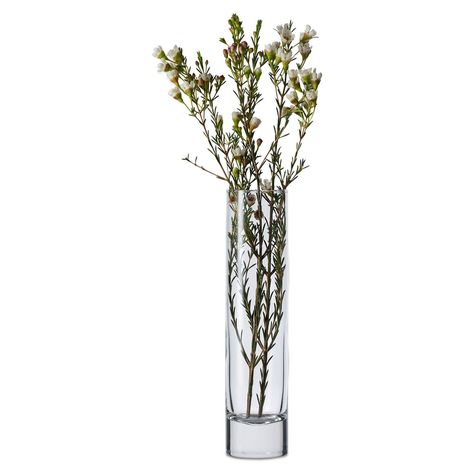 A sleek cylindrical glass bud vase for an elegant way to hold the gorgeous (but $10-a-stem) flowers you limited yourself to two of at the farmers market. Bedroom Redesign, Christmas Pine Cones, Glass Bud Vase, Pine Cone Decorations, Glass Cylinder, Clear Glass Vases, Cylinder Vase, Floral Shop, Vase Fillers