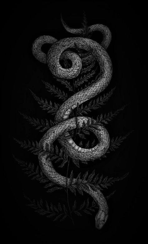 Wallpaper || Background Snake Drawing Wallpaper, Snake Aesthetic Dark, Snake Lockscreen, Ouroboros Wallpaper, Snake Iphone Wallpaper, Black Snake Wallpaper, Serpent Aesthetic, Drawing Black Background, Art Snake