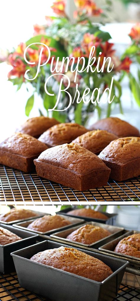 Delicious pumpkin bread full of cinnamon, nutmeg, cloves & ginger. Perfect mini loaves to share with friends. Bake ahead & freeze for Thanksgiving. Mini Pumpkin Bread Loaves Gifts, Mini Loaves Pumpkin Bread, Mini Pumpkin Loaves, Christmas Loafs, Mini Pumpkin Bread Loaves, Mini Loafs, Fall Bread, Mini Bread Loaves, Healthy Pumpkin Dessert