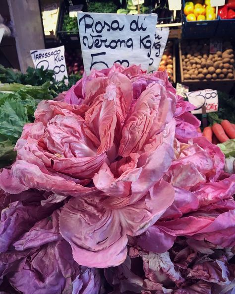 Pink Lettuce Is About to Take Over Your Instagram Feed — Food Trends Pink Lettuce, New Food Trends, Pink Food, Unique Vegetables, Salad Dishes, Themed Drinks, Pink Foods, New Food, Beautiful Fruits