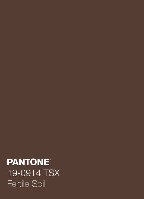 Pantone Colors Brown, Pantone Brown, Food Colors Palette, Colour Pantone, Brown Pantone, Spa Bedroom, Color Backgrounds, Skin Colour, Pantone Colors