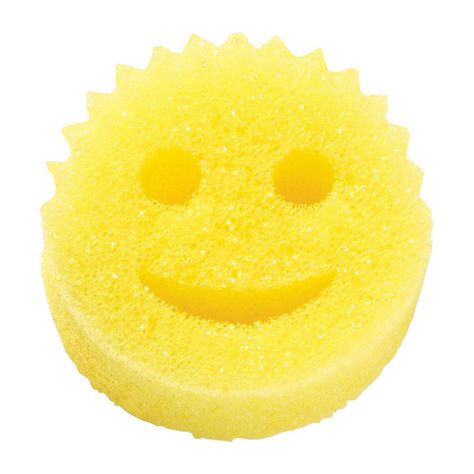 Scratch-Free Scrub Daddy | The Container Store Mini Blinds, Pet Hair Removal, The Container Store, Container Store, Under Sink, Natural Latex, Shark Tank