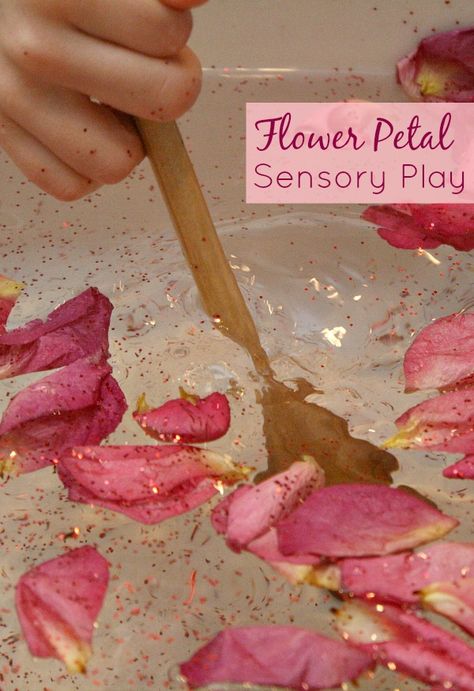 Flower Petal Sensory Play. Fun way to use old flower petals. Great for toddlers and preschoolers! Sensory Tubs, Nursery Activities, Toddler Sensory, Spring Preschool, Preschool Valentines, Valentine Activities, Kids Sensory, Spring Activities, Water Play