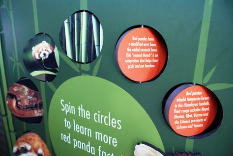 Red Panda exhibit signage at the Houston Zoo. Designed/collaboration by Nicte Creative Design. Zoo Education, Zoo Signage, Interpretive Signage, Zoo Project, Houston Zoo, Exhibit Ideas, Interactive Museum, Interactive Exhibition, Exhibition Ideas