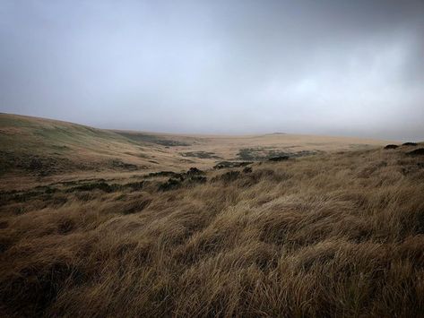 Dartmoor Aesthetic, Moors Aesthetic, Foggy Village, Green Landscapes, Landscape Reference, Catherine Walker, Group Project, Wuthering Heights, Nice Pictures