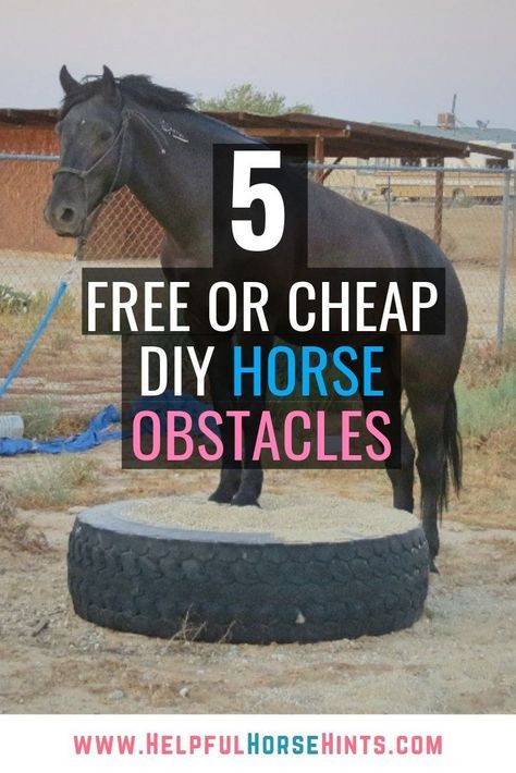 Introducing your horse to obstacles is a great way to help them become calmer, braver horses. The thing is, we spend so much money on our horses, it is nice every once in a while to look at some low-cost ways to help with our horsemanship. These five free or cheap DIY horse obstacles do just that.  These obstacles are great for horses, ponies, burros, donkeys and mules. Horse Obstacles, Horse Lessons, Horse Arena, Diy Horse, Horse Exercises, Horse Riding Tips, Horse Games, Horse Trail, Horse Training Tips