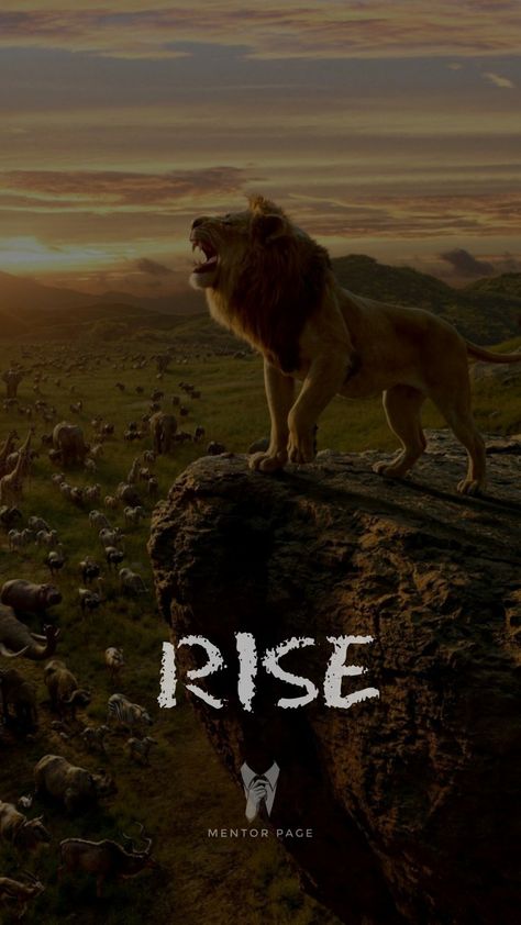 Lion wallpaper,attitude wallpaper,one word motivation,Android wallpaper,iPhone wallpaper Lion Motivation Wallpaper, Wallpaper Iphone Lion, Lion Attitude Quotes, Strong Wallpaper, Lion Attitude, Attitude Wallpaper, Wallpaper Lion, Lion Motivation, Lion Wallpaper Iphone