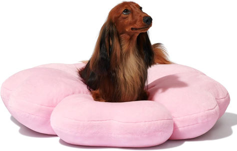 This dog bed is sure to add a pop of color to any space! Bed Bolster, Cute Sakura, Dog Couch Bed, Dog Crate Bed, Round Dog Bed, Washable Dog Bed, Puppy Beds, Dog Sofa Bed, Dog Beds For Small Dogs