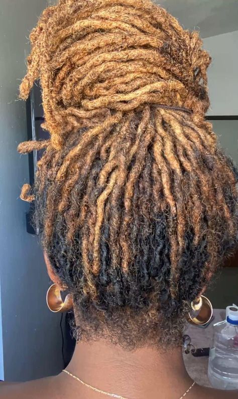 West Indie Ray Locs, Locs With Blonde Tips, Honey Brown Dreads, Locs With Highlights, Locs Ideas, Black And Blonde Ombre, Loc Hairstyles, Blonde Tips, Beautiful Locs