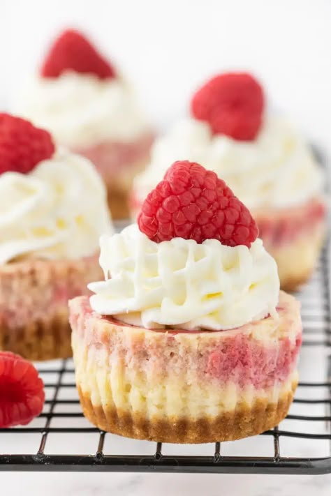 Raspberry Cheesecakes, Dessert Wine Pairing, Easy Chocolate Cheesecake, Raspberry Cheesecake Bites, White Chocolate Raspberry Cheesecake, Cookies And Cream Cheesecake, Chocolate Raspberry Cheesecake, Mini Cheesecake Recipes, Homemade Graham Crackers