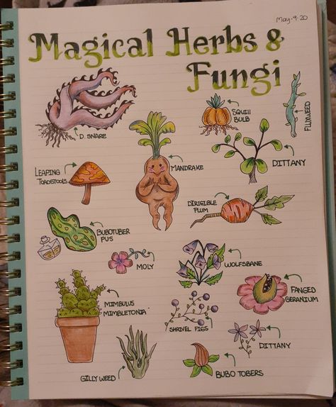 Herbology Harry Potter Printable, Harry Potter Plants Herbology, Hogwarts Herbology Aesthetic, Harry Potter Sketches Easy, Herbology Hogwarts, Harry Potter Book Of Spells, Herbology Harry Potter, Harry Potter Herbology, Harry Potter Plants