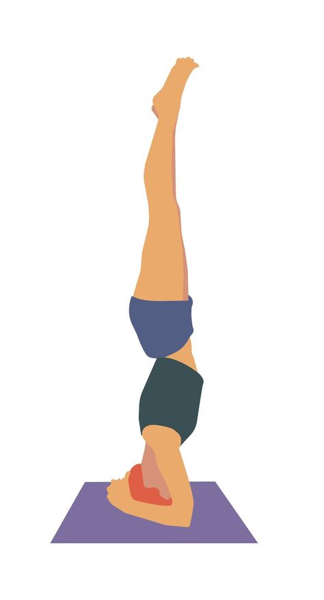 Yoga pose headstand. color vector illustration isolated on white background Learn Yoga Poses, Yoga Pose, Color Vector, Yoga Meditation, Yoga Poses, White Background, Vector Images, Vector Illustration, Sketch Book