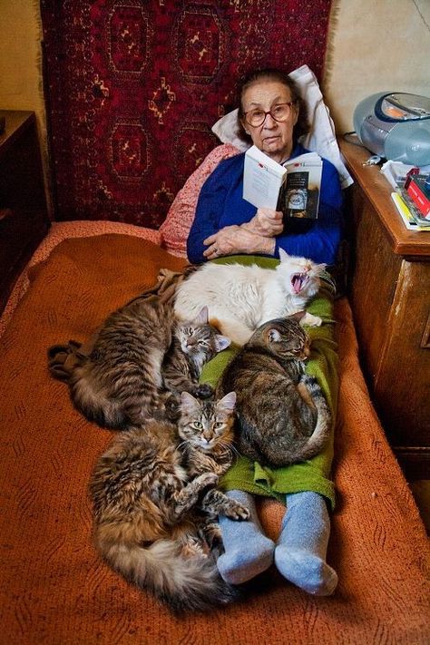 Grandma Pictures, Old Cat Lady, Cat Grandma, Cat Therapy, Cool Grandma, Real Cat, Cat Blanket, Daily Pictures, Fuzzy Socks