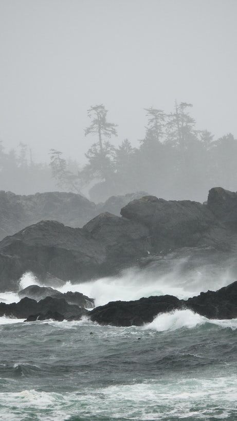 Storm Watching, Pacific Rim National Park, Ocean Storm, Ancient Forest, Road Map, Vancouver Island, Nature Aesthetic, Rock Climbing, Fall And Winter