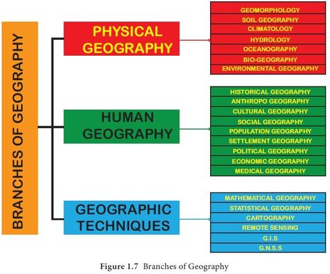 Branches of Geography Economic Geography, Ap Human Geography, Social Organization, Human Geography, Physical Geography, Study Related, Primary Activities, Remote Sensing, World Geography