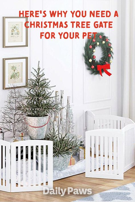 Keep your pets out of the Christmas tree with these Christmas tree gates. #DIYpets #petfriendlyhome #petsathome #petcarrier #dogcrate #catcarrier #DIYpetprojects Gate For Christmas Tree, Dog Proof Christmas Tree Fence, Cat Proof Christmas Tree Fence, Baby Gate Christmas Tree, Christmas Tree Gate For Dogs, Gate Around Christmas Tree Diy, Christmas Tree Gate Baby, Christmas Tree Protection From Dog, Protect Christmas Tree From Dog