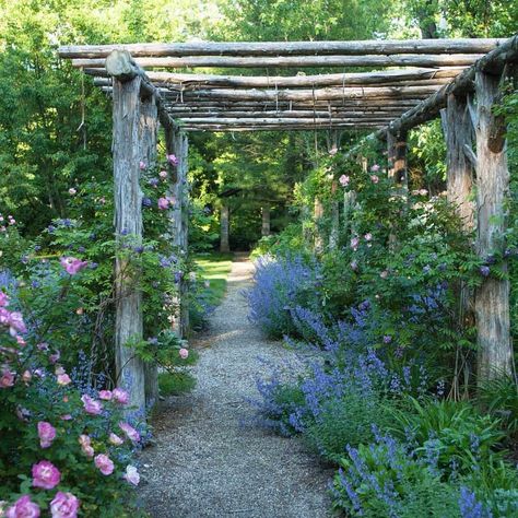 The Natural Garden Arbour: 5 Ideas for Creating Your Own | PITH + VIGOR by Rochelle Greayer Rustic Arbor, Rustic Pergola, Garden Vines, Garden Arbor, Pergola Patio, Pergola Designs, Natural Garden, Design Magazine, Garden Structures