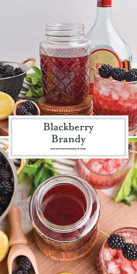 This homemade blackberry brandy is sweetened with a bit of sugar and juicy blackberries, and kicked up with the addition of fresh herbs! Blackberry Brandy Recipe, Orange Crush Cocktail, Blackberry Brandy, Brandy Recipe, Mixed Berry Pie, Fun Party Drinks, Fun Drink Recipe, Blackberry Wine, Hot Drinks Recipes