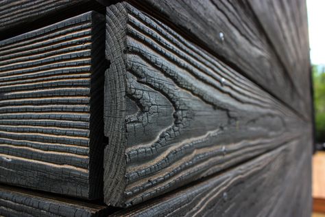 6 Reasons Why Shou Sugi Ban is the Hottest Trend in Architecture Shou Sugi Ban Siding, Shou Sugi Ban House, Charred Wood Siding, Modern Japanese Architecture, Clad Home, Charred Wood, Sugi Ban, Shou Sugi Ban, Dark Walls