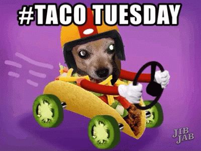 Tuesday Gif Funny, Taco Tuesday Quotes Funny, Happy Taco Tuesday Funny, Taco Tuesday Humor Funny Hilarious, Taco Tuesday Humor, Spunky Quotes, Taco Tuesday Quotes, Funny Taco Tuesday, Happy Taco Tuesday