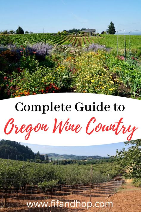 Willamette Valley Oregon Wine Tasting, Oregon Vineyards, Restaurant Tips, Oregon Wine Country, Wine Country Travel, Oregon Trip, Oregon Road Trip, Girls Trips, Couples Travel