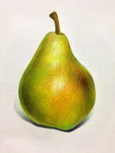 Sunflower Drawing Easy, Pear Drawing, Pear Painting, Drawing Easy Step By Step, Fruit Art Drawings, Colored Pencil Art Projects, Sunflower Drawing, Prismacolor Art, Fruits Drawing