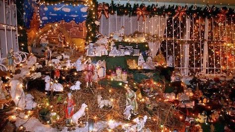 Navidad en Colombia: ¿Cómo se celebraba antes? - Gente - Cultura - ELTIEMPO.COM Christmas 90s, Music Taste, Showroom, Christmas Tree, Holiday Decor, Music, Christmas