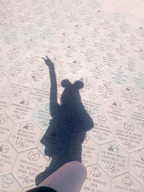 disneyland / disneyworld cute photo idea shadow silhouette selfie Disneyland Selfies Ideas, Disney Selfies Ideas, Disneyland Selfies, Silhouette Selfie, Disneyland Pics, Disney World Aesthetic, Disney Picture Ideas, Disneyland Photography, Disneyland World