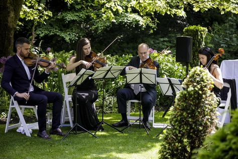 Uffizi Quartet string quartet for hire from Entertainment Nation. #stringquartet #quartet #strings #music #musicians #musicforhire #music #livemusic #weddingentertainment #weddingmusic #weddingideas #corporate #romantic #corporateevents Wedding Performers, String Quartet Wedding, Ideas For Wedding Ceremony, Lowndes Grove Wedding, Classical Wedding, Wedding Ceremony Music, Wedding Musicians, Event Entrance, Diy Wedding Video