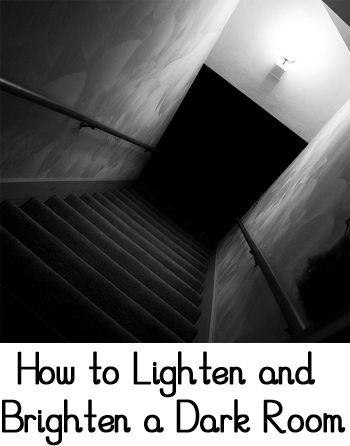 Tips & Tricks for How to Lighten and Brighten a Dark Room Room With No Windows, Bts Ff, Brighten Room, A Dark Room, Dark House, Best Ceiling Fans, Lamps Floor, Inside Decor, Welcome To My House