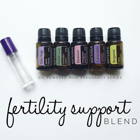 So many of us have experienced the pain of not being able to conceive a child. This blend is incredibly helpful for nourishing your body and balancing your hormones to enhance fertility. 12 drops Clary Sage 10 drops Fennel 7 drops Geranium 8 drops Lavender 8 drops Bergamot Bonus: 3 drops rose if available  Combine oils in a 10 mL roller bottle; fill remainder with fractionated coconut oil. Apply to lower abdomen twice daily, targeting ovary and uterus areas.  #eopregnancyseries Essential Oils For Fertility, Pregnancy Oils, Doterra Oils Recipes, Essential Oils For Pregnancy, Essential Oil Brands, Are Essential Oils Safe, Doterra Essential Oils Recipes, Essential Oil Roller, Doterra Oils