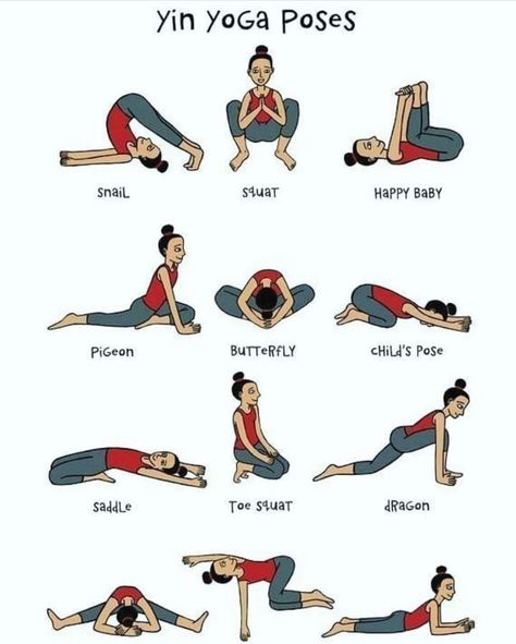 Pilates Solo, Yoga Poses Chart, Yin Yoga Poses, Bolesti Chrbta, Basic Yoga Poses, Yoga For All, Yoga Beginners, Yoga Posen, Basic Yoga