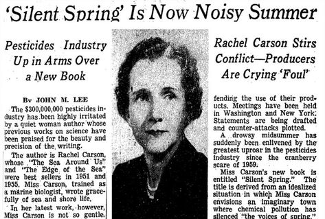 New York Times headline "'Silent Spring' Is Now Noisy Summer," with portrait of Rachel Carson Silent Spring, Sentence Fragments, Thomas Alva Edison, Rachel Carson, Environmental Movement, Woman Authors, Edward Snowden, Building Self Esteem, Research Institute