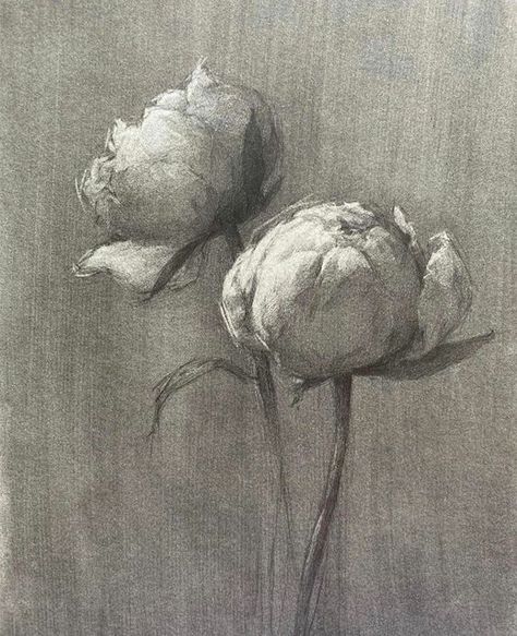 Abstract Charcoal Art, Charcole Drawings, Graphite Art, Flower Drawing Tutorials, Peony Painting, Charcoal Sketch, Charcoal Art, Grand Central, Painting Medium